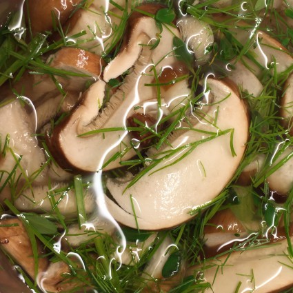 Beautiful vegetable broth with mushrooms and herbs.