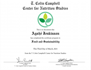 sustainability certificate